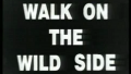 Walk on the wild side.png