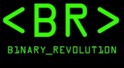 Binrev logo.jpg